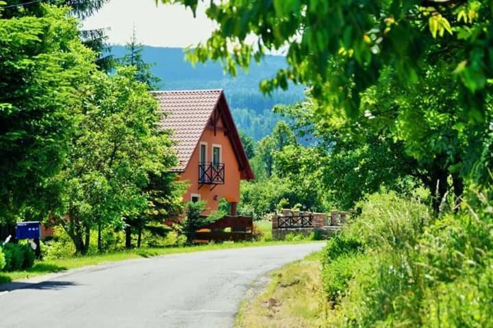 Wydrza-Przystan Villa Mirsk ภายนอก รูปภาพ